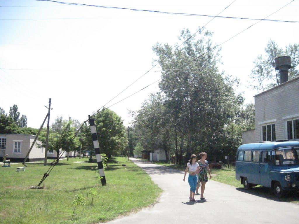 Потоки з panoramio.com - Потоки