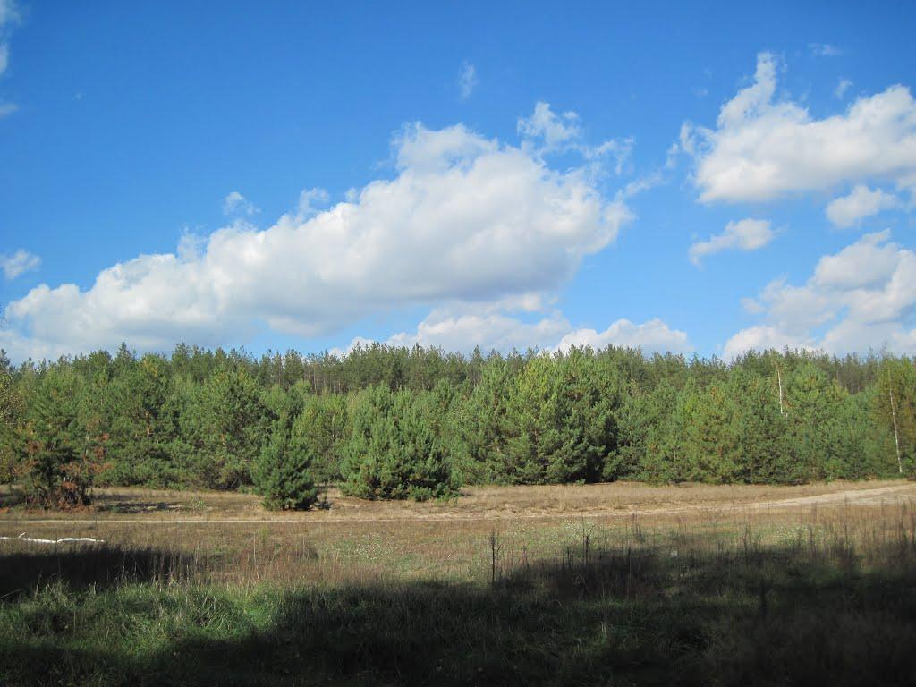 Піски з panoramio.com - Пески