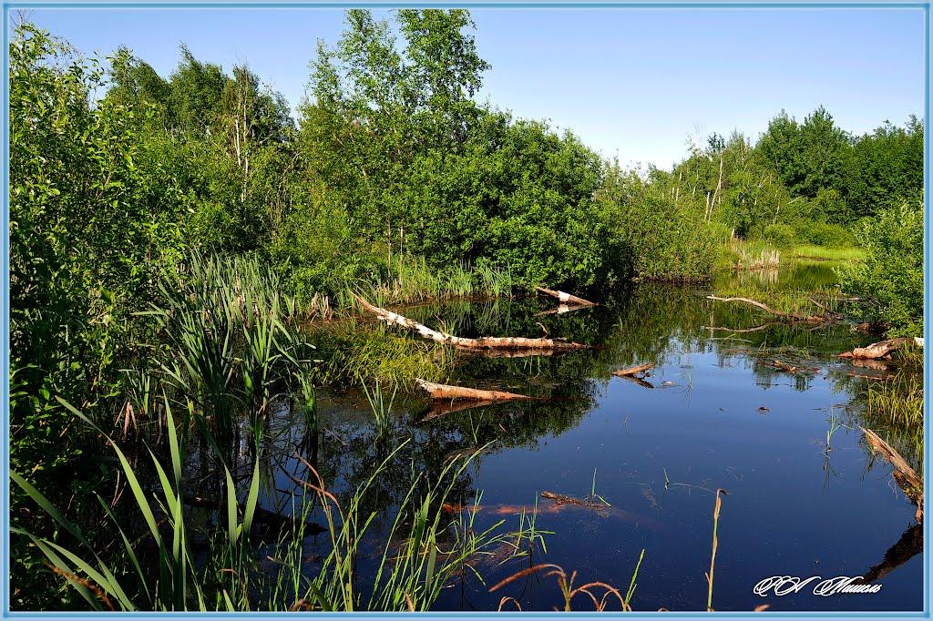 Новокраснянка з panoramio.com - Новокраснянка