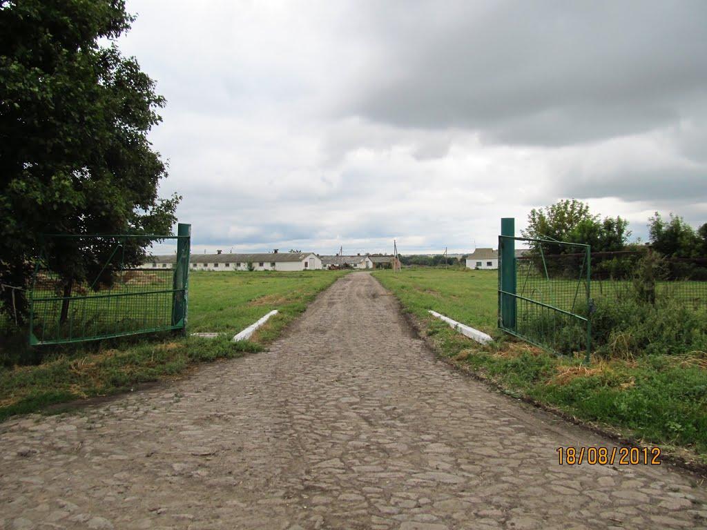 Першотравневе з panoramio.com - Першотравневе