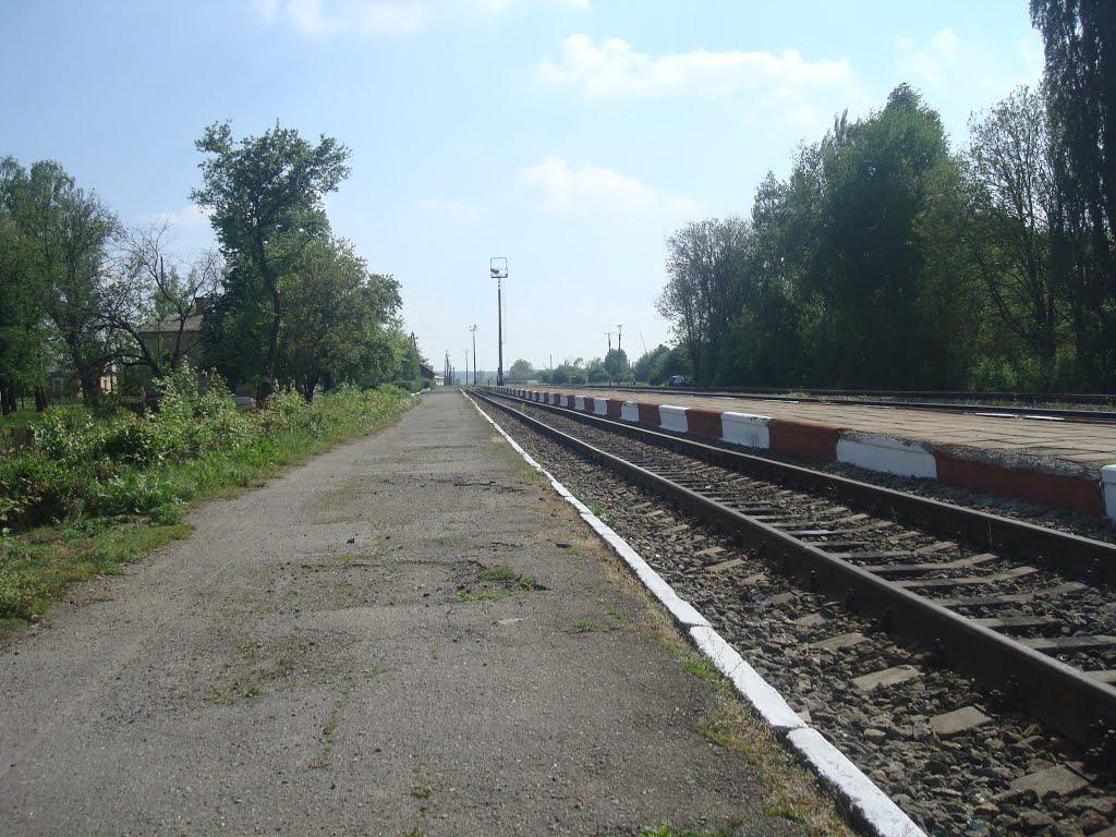 Стара Гута з panoramio.com - Stara Guta