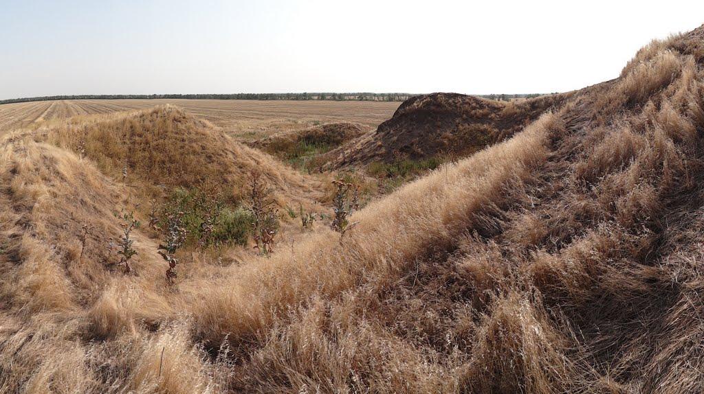 Верхній Рогачик з panoramio.com - Верхній Рогачик