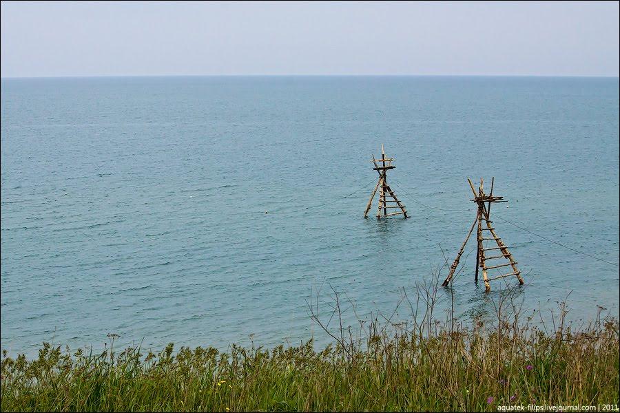 Яковенкове з panoramio.com - Яковенкове