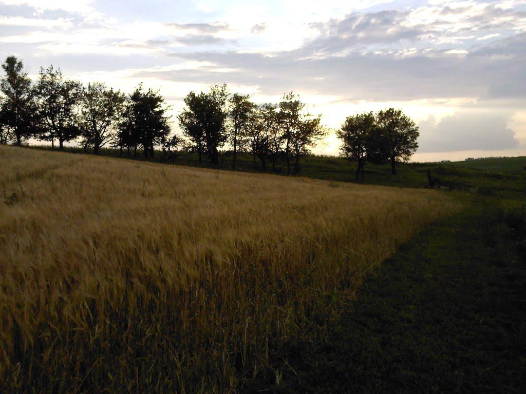 Случ з panoramio.com - Случь