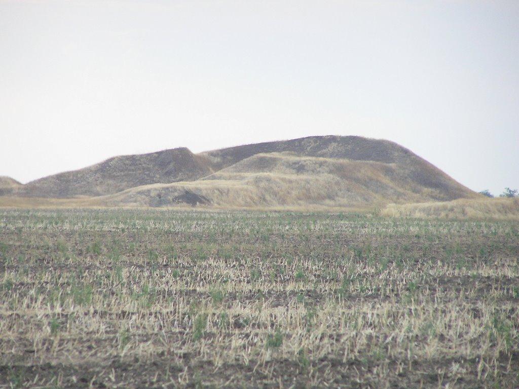 Верхній Рогачик з panoramio.com - Верхній Рогачик