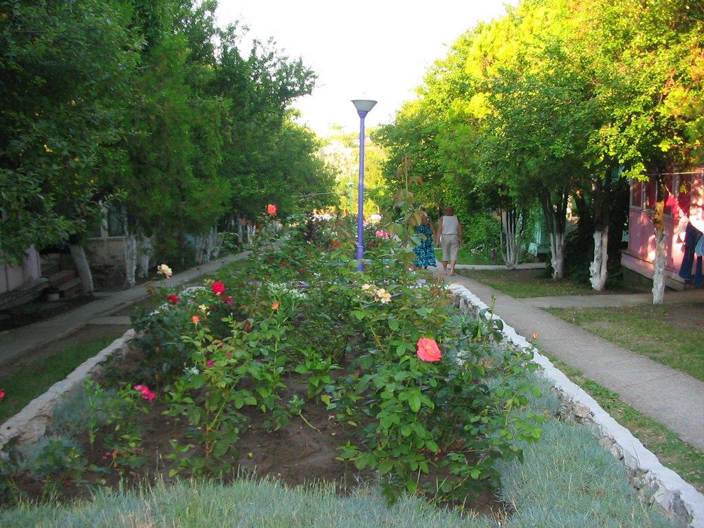 Семенівка з panoramio.com - Семеновка