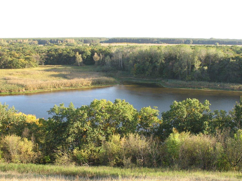 Усть-Лип'янка з panoramio.com - Усть-Лип'янка