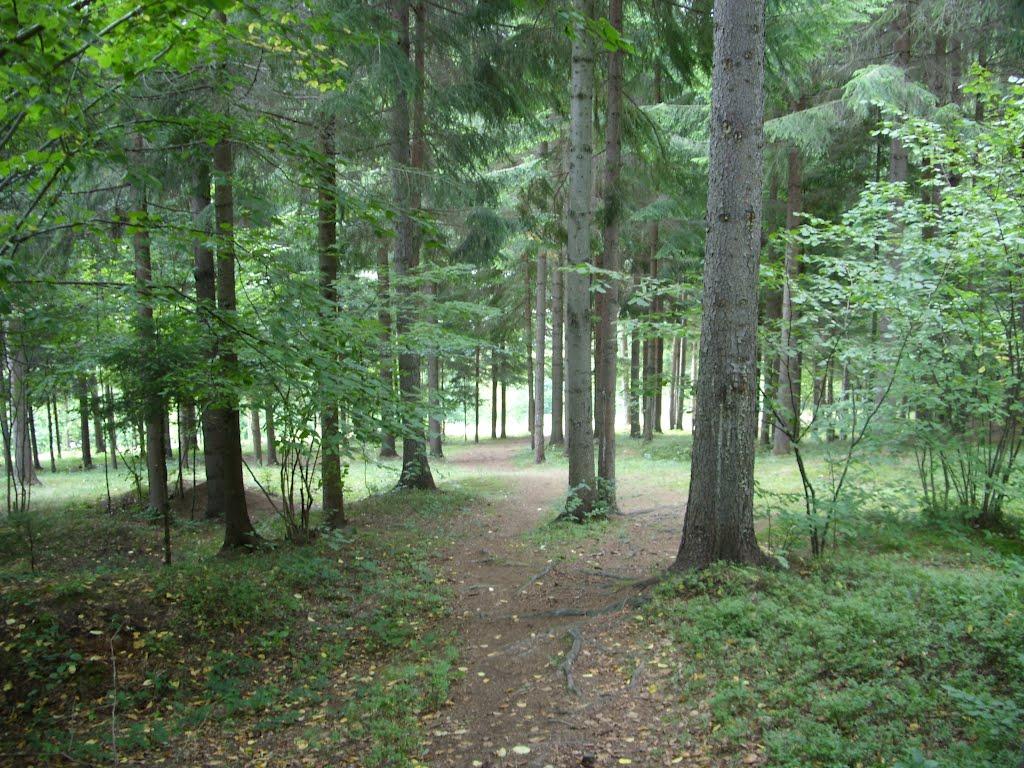 Фальків з panoramio.com (ч.2) - Фальків