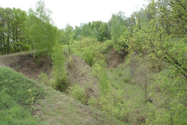 Циркуни з panoramio.com - Циркуны