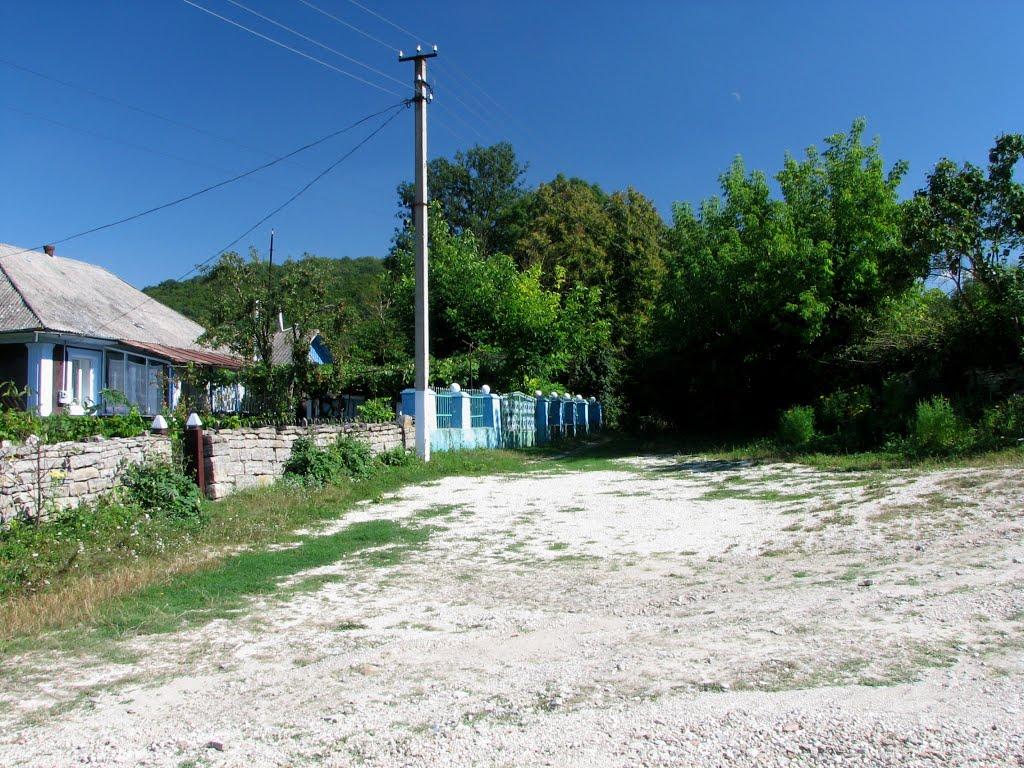 Черче з panoramio.com - Черче