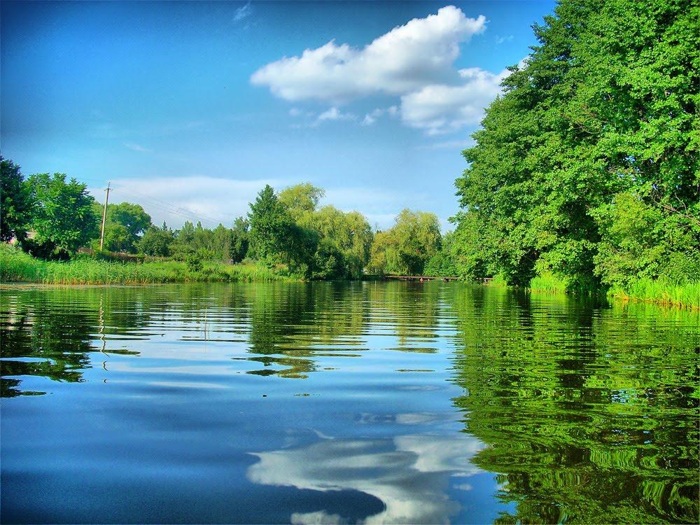 Поліське з panoramio.com - Полесское