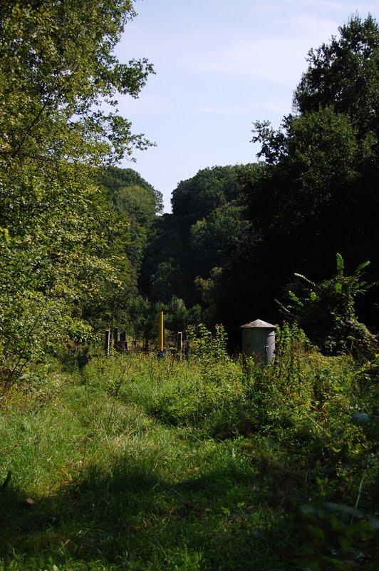 Суха Гомільша з panoramio.com - Сухая Гомольша