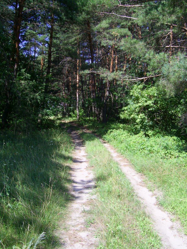 Бірки з panoramio.com - Борки