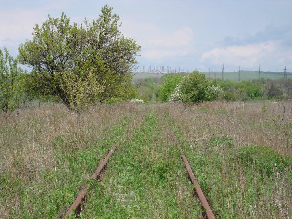 Дубівський з panoramio.com - Дубівський