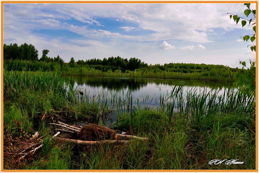 Новокраснянка з panoramio.com - Новокраснянка