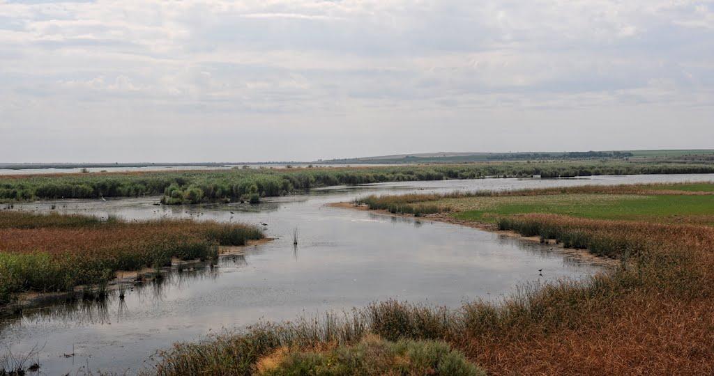 Давидівка з panoramio.com - Давидівка