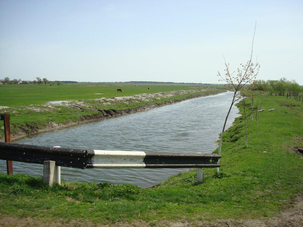 Дроздні з panoramio.com - Дроздни