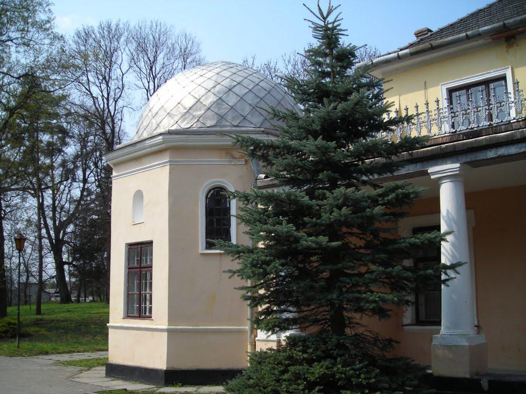 Неслухів з panoramio.com - Неслухів