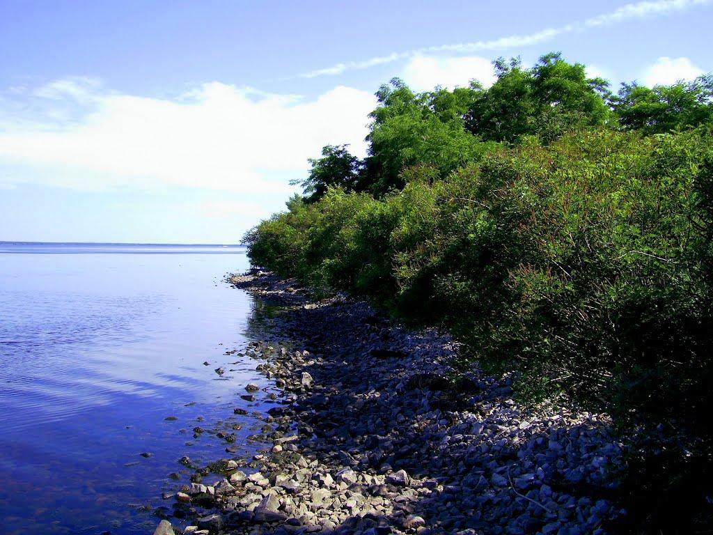 Бучак з panoramio.com - Бучак