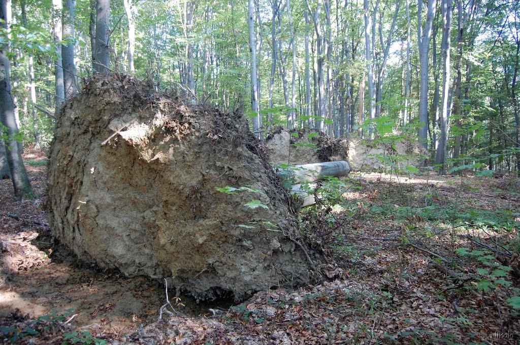 Глибоке з panoramio.com - Глибоке