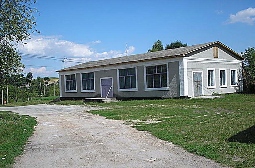 Вільшанка з panoramio.com - Вільшанка