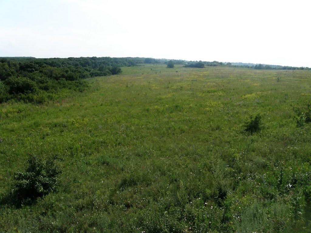 Маломиколаївка з panoramio.com - Малониколаевка