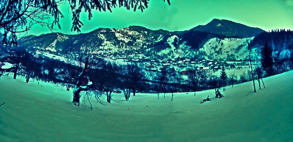 Великий Рожин з panoramio.com - Великий Рожин