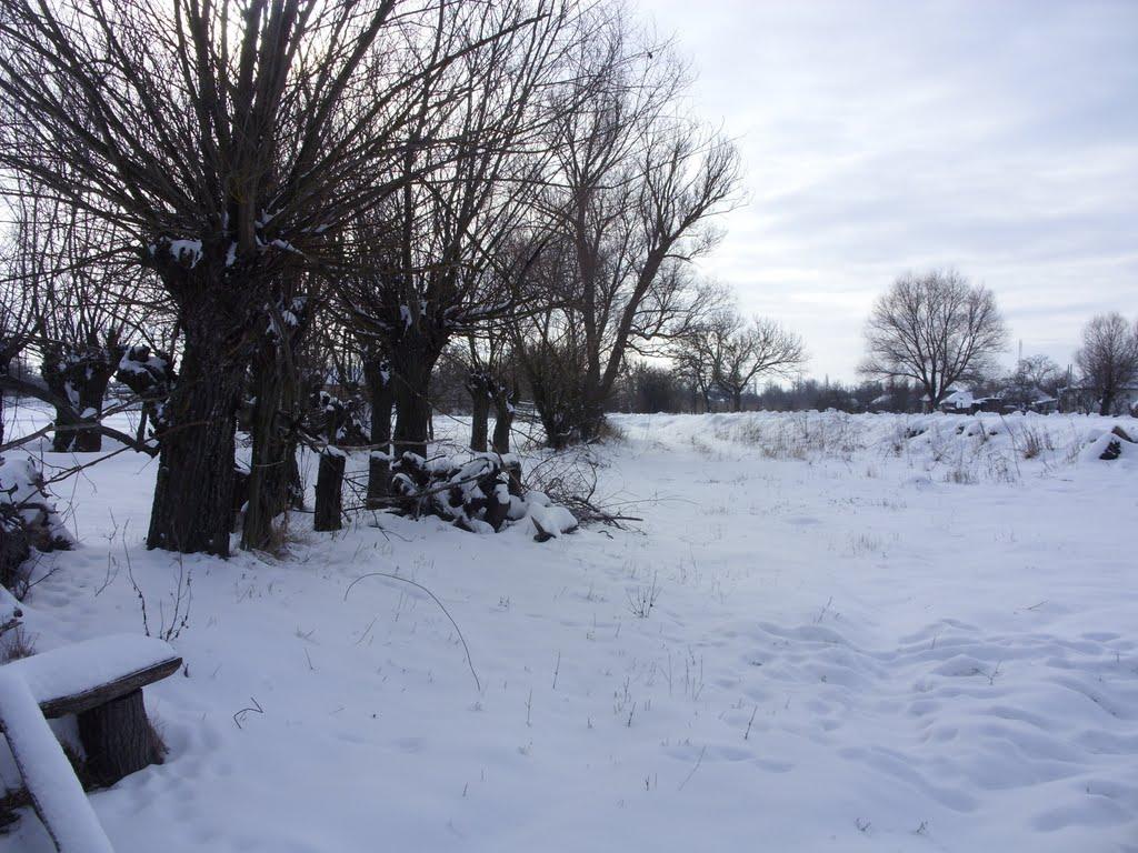 Хорішки з panoramio.com - Khorishky