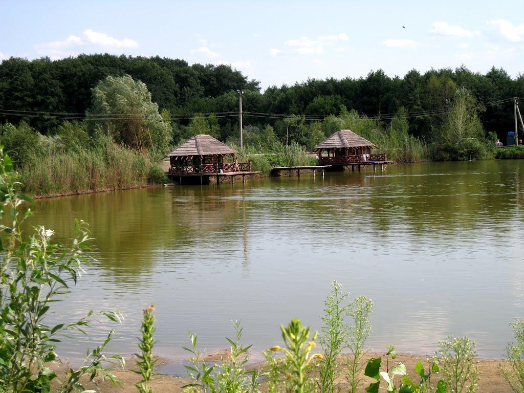 Вільхове з panoramio.com - Вільхове