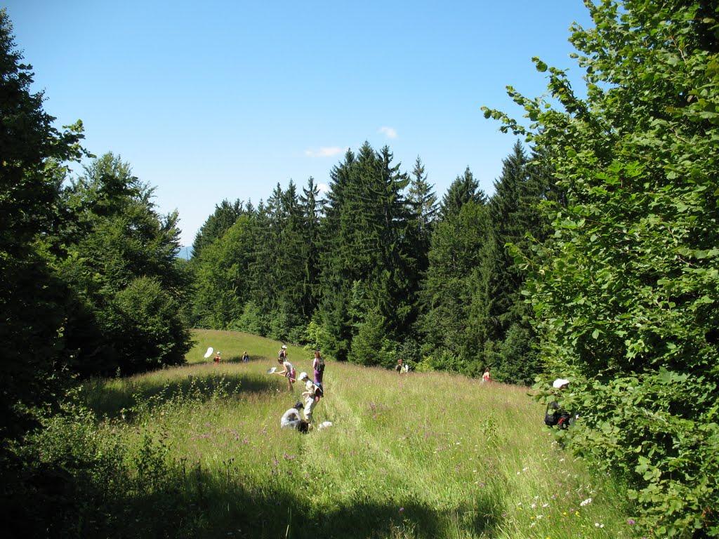 Кваси з panoramio.com - Kvasy