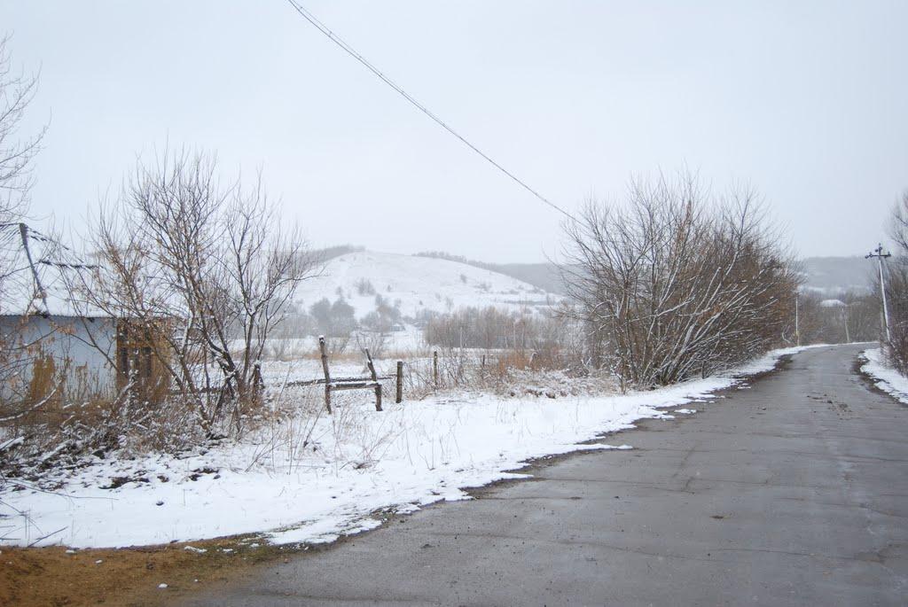 Пасицели з panoramio.com - Пасицели