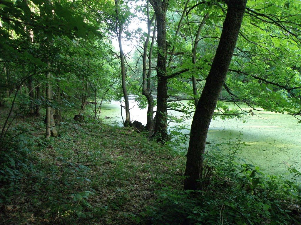 Рубіжне з panoramio.com - Рубежное
