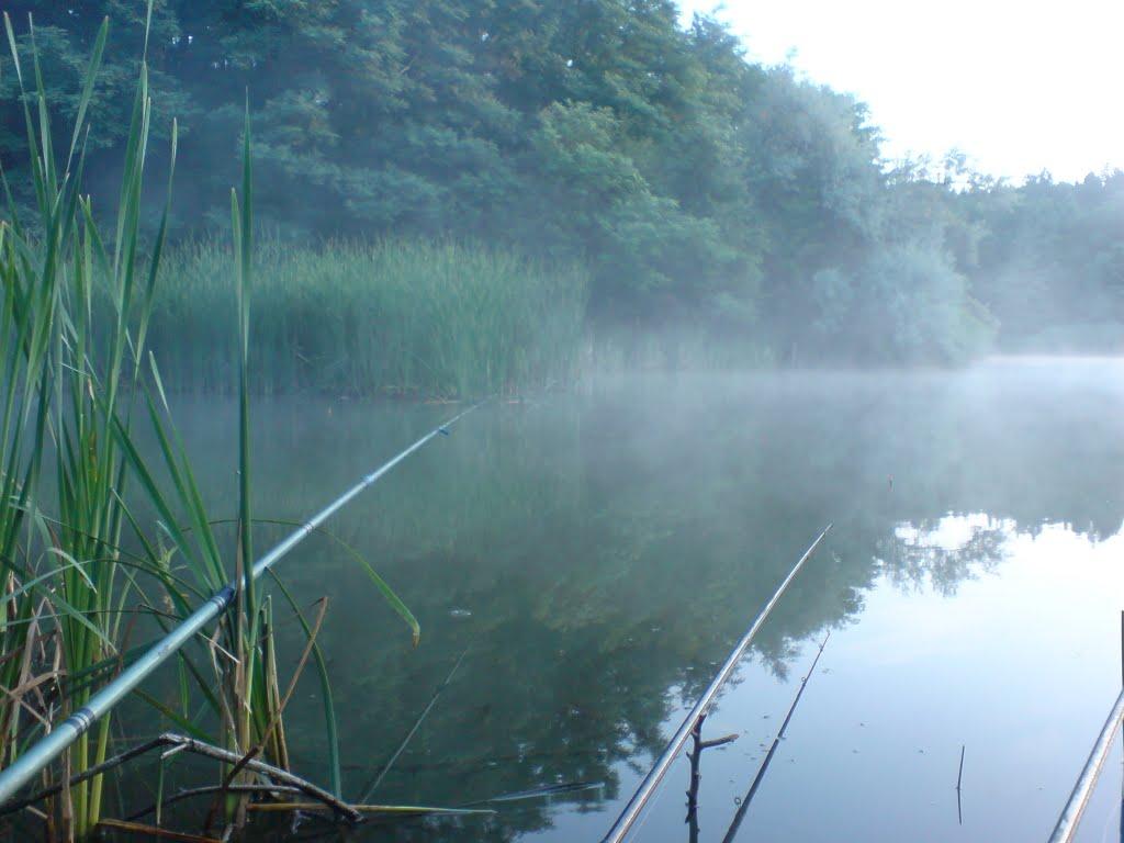 Стецівка з panoramio.com - Стецовка