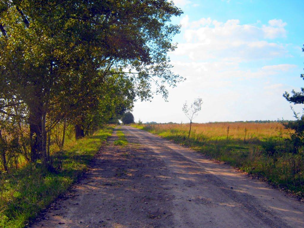 Радванці з panoramio.com - Радванці