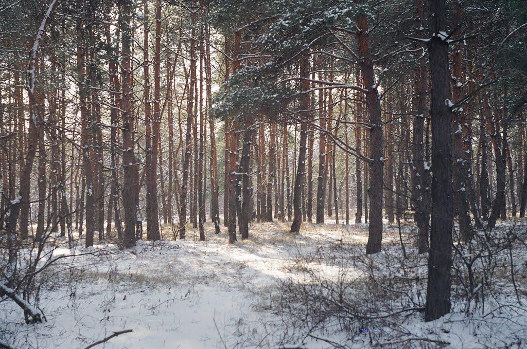 Могилів з panoramio.com - Могилев