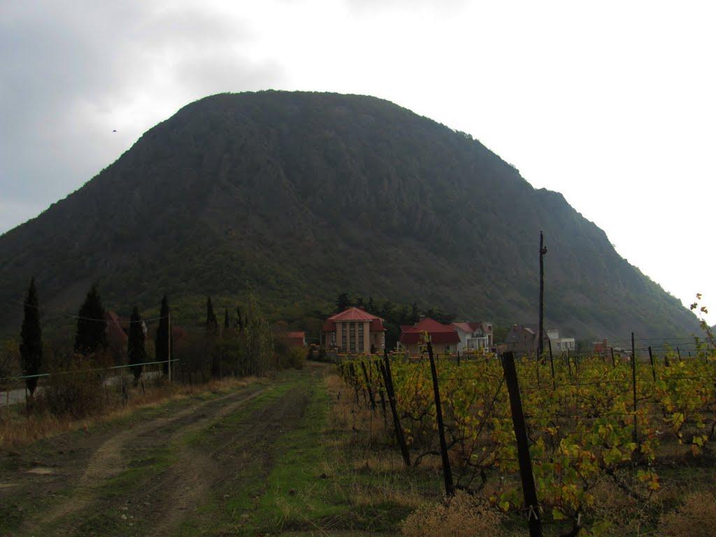 Запрудне з panoramio.com - Запрудне