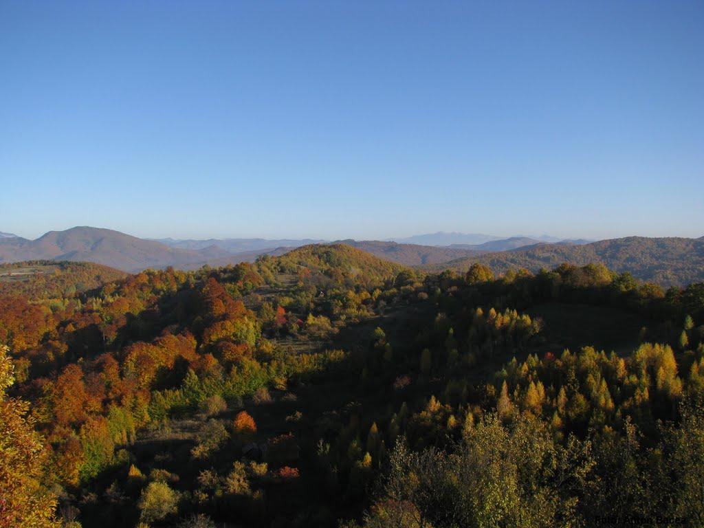Великий Бичків з panoramio.com - Великий Бычков