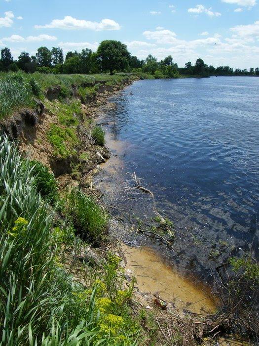 Миси з panoramio.com - Mysy