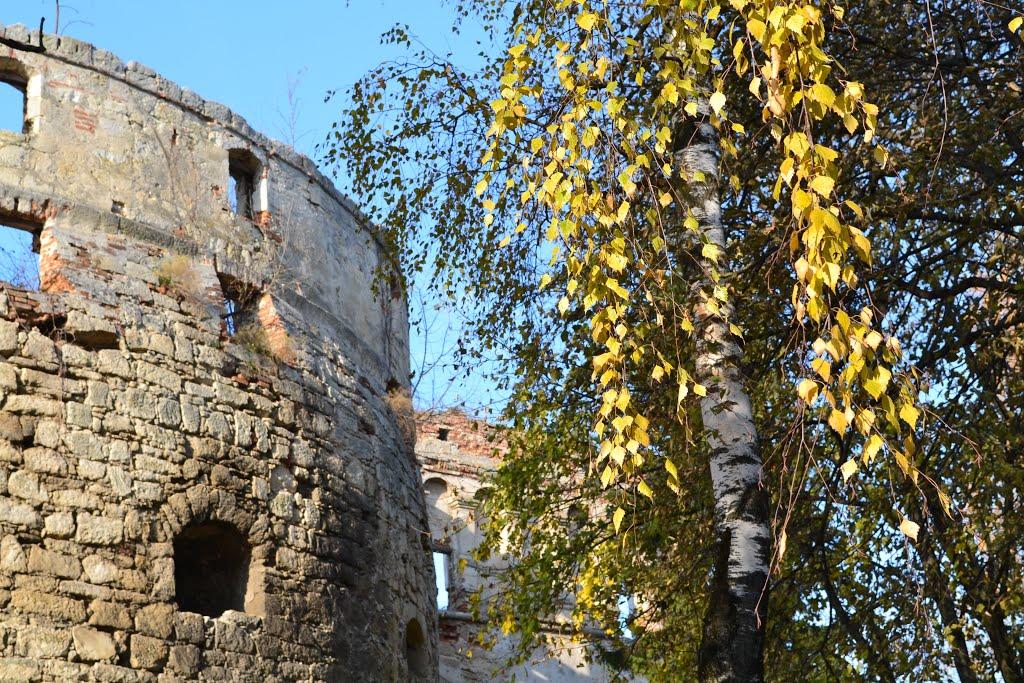 Бережани з panoramio.com - Бережаны