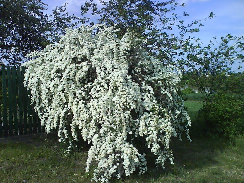Макіївка з panoramio.com - Макіївка