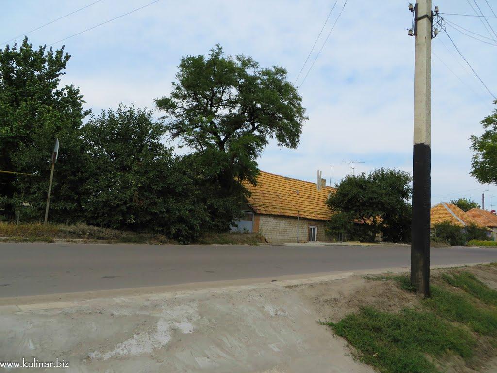 Токмак з panoramio.com - Токмак