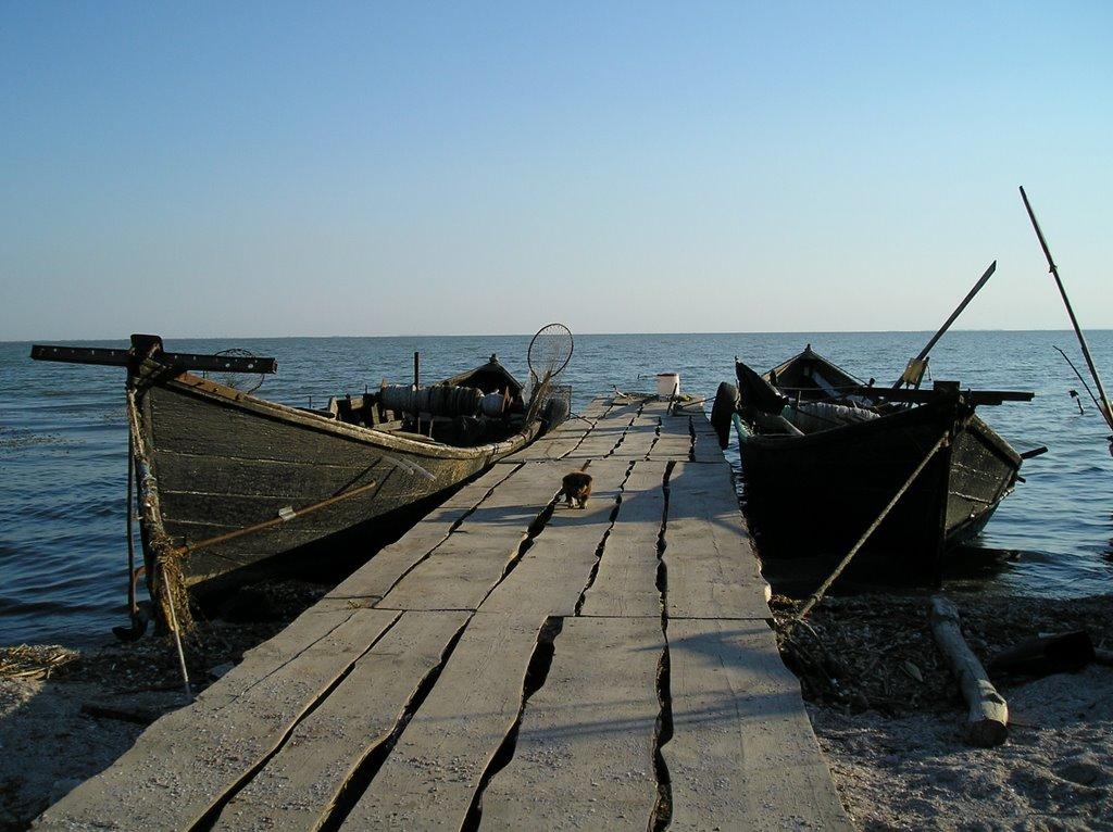 Лиман з panoramio.com - Лиман