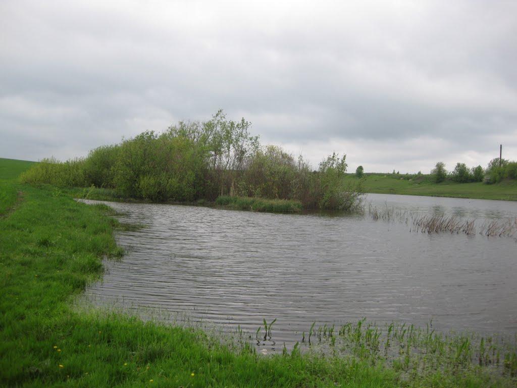 Черепашинці з panoramio.com - Черепашинці