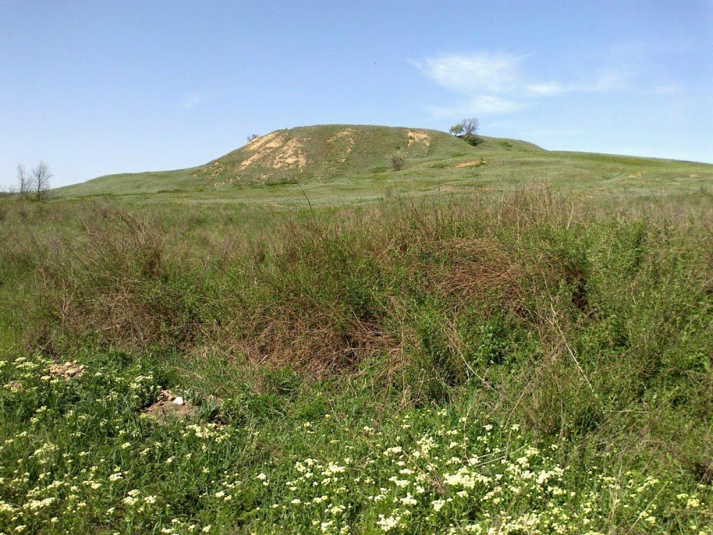 Зайцеве з panoramio.com - Зайцево