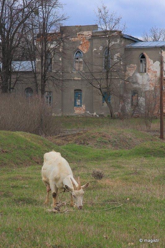 Люботин з panoramio.com (ч.2) - Люботин
