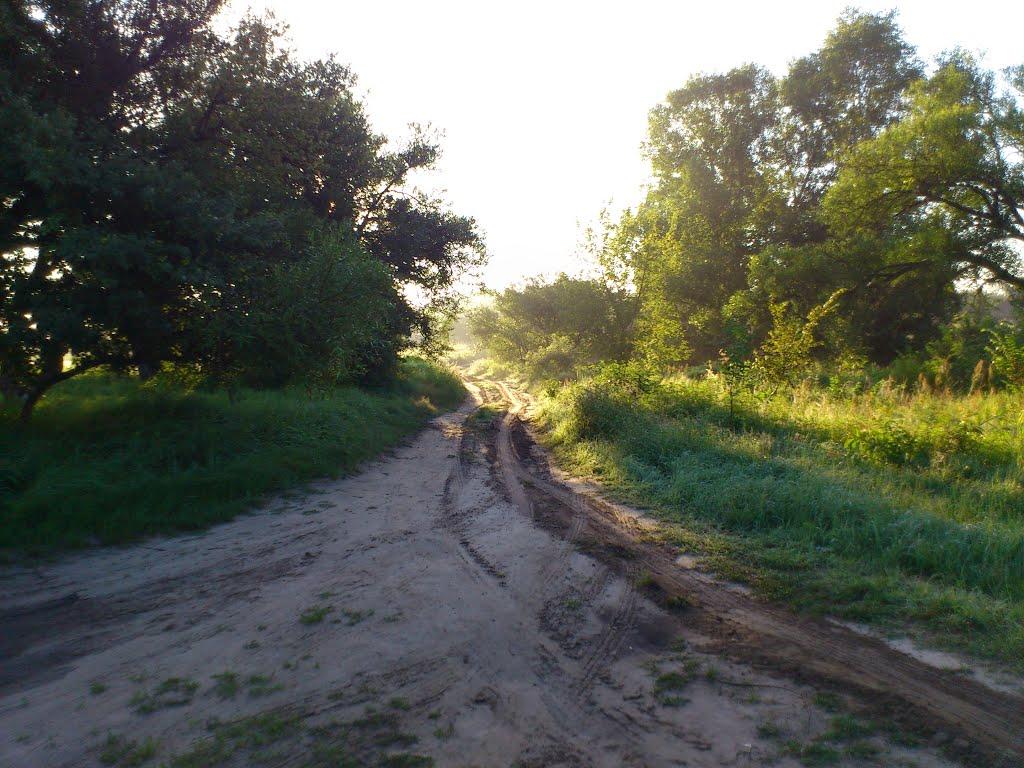 Миси з panoramio.com - Mysy