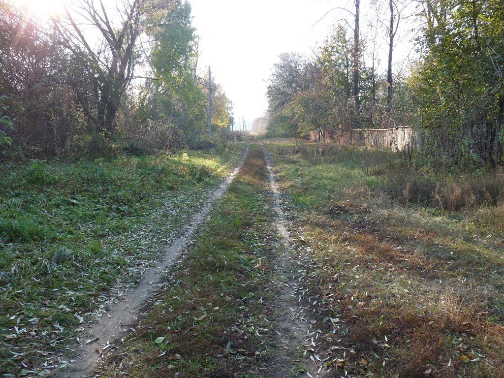 Скрипалі з panoramio.com - Скрипали