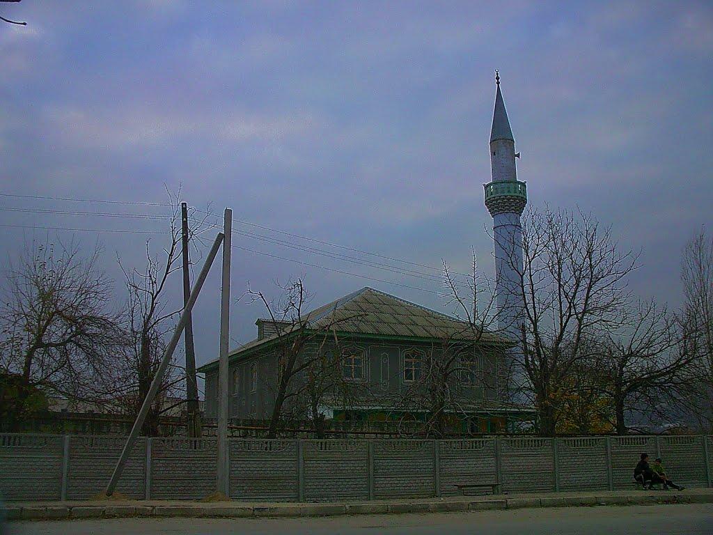 Холмівка з panoramio.com - Холмовка