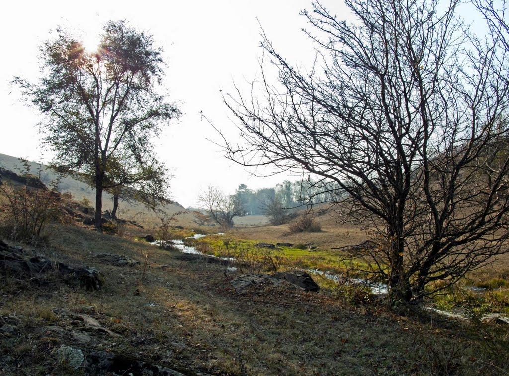 Гірницьке з panoramio.com - Горницкое