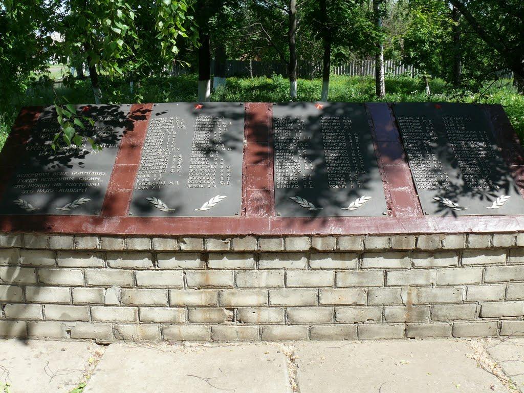 Перекіп з panoramio.com - Перекоп